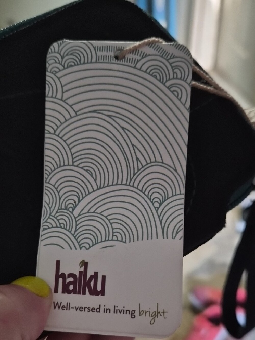 Haiku Black Pouch with Teal Trim - Picture 2 of 7